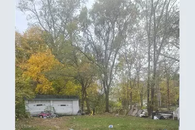 7106 Lawnview Avenue, Loveland, OH 44103 - Photo 3