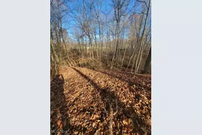 Greenwich Road, Lodi, OH 44254 - Photo 7