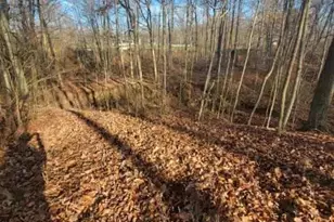 Greenwich Rd, Lodi, OH 44254 - Photo 7