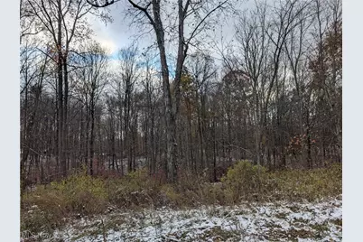 Greenwich Road, Lodi, OH 44254 - Photo 3