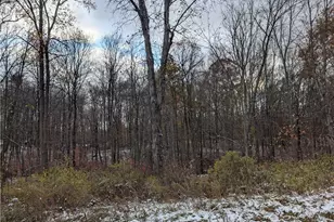 Greenwich Rd, Lodi, OH 44254 - Photo 3