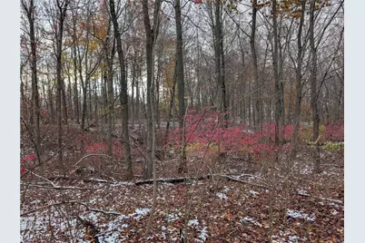 Greenwich Road, Lodi, OH 44254 - Photo 1