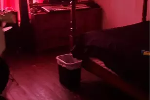 2167 W 96th St, Loveland, OH 44102 - Photo 5