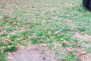 3267 W 48th St, Loveland, OH 44102 - Photo 17