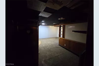 937 S Hazelwood Avenue, Youngstown, OH 44509 - Photo 37