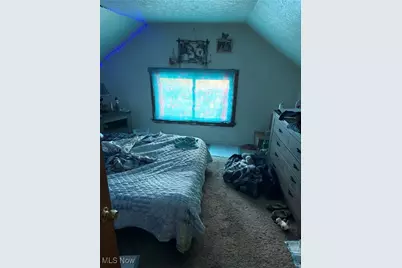 1194 Diagonal Road, Akron, OH 44320 - Photo 9