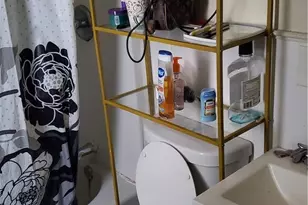 1979 W 54th St, Loveland, OH 44102 - Photo 41