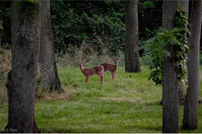 112 State Route 95, Jeromesville, OH 44840 - Photo 13