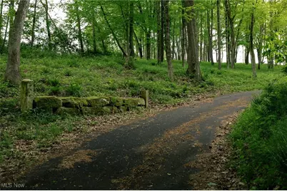 112 State Route 95, Jeromesville, OH 44840 - Photo 27