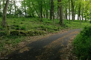 112 State Route 95, Jeromesville, OH 44840 - Photo 27