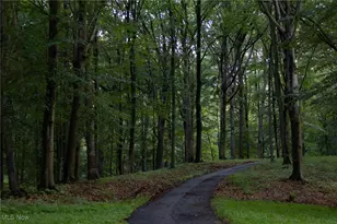 112 State Route 95, Jeromesville, OH 44840 - Photo 25