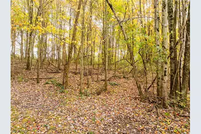 968 Township Road 2506, Perrysville, OH 44864 - Photo 33