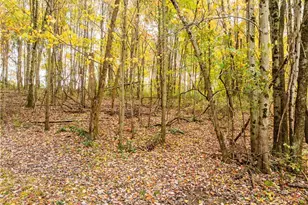 968 Township Road 2506, Perrysville, OH 44864 - Photo 33