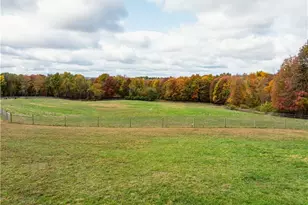 968 Township Road 2506, Perrysville, OH 44864 - Photo 19