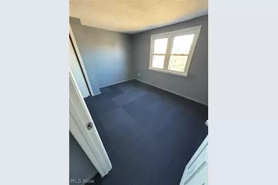 16706 Palda Drive, Loveland, OH 44128 - Photo 19