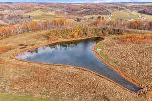 78791 Kanoski Rd, Cadiz, OH 43907 - Photo 45