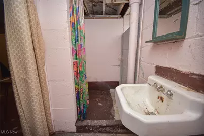 2901 Ralph Avenue, Loveland, OH 44109 - Photo 35