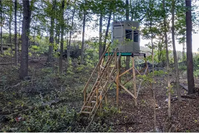 1696 Township Road 1419, Mansfield, OH 44903 - Photo 35