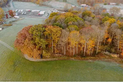 7499 County Road 19, Millersburg, OH 44654 - Photo 15