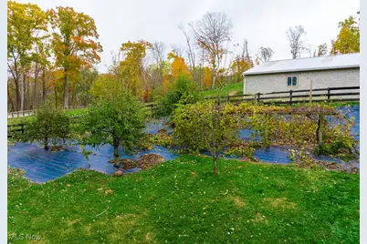 8791 James Road, Wooster, OH 44691 - Photo 15