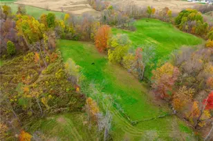 8791 James Rd, Wooster, OH 44691 - Photo 17