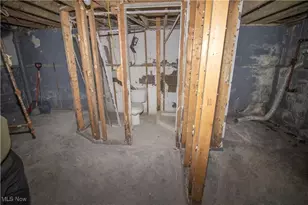 10406 Dove Ave, Loveland, OH 44105 - Photo 11