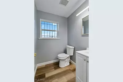 10313 Mount Auburn Avenue, Loveland, OH 44104 - Photo 13