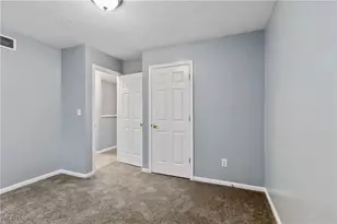 10313 Mt Auburn Ave, Loveland, OH 44104 - Photo 19