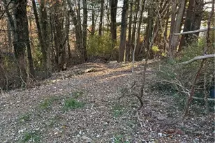 123 Andover Rd, Woodsfield, OH 43793 - Photo 47