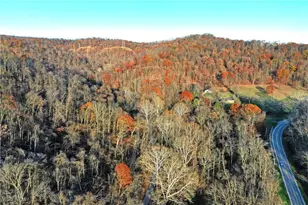 247 Township Road 306, Hammondsville, OH 43930 - Photo 49