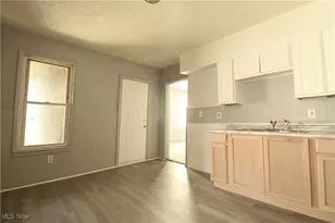 7106 Colfax Rd, Loveland, OH 44104 - Photo 11