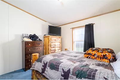 507 Township Road 350, Toronto, OH 43964 - Photo 39