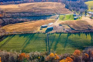 507 Township Rd 350, Toronto, OH 43964 - Photo 27