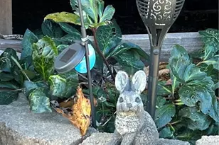 2567 State Route 555, Little Hocking, OH 45742 - Photo 7