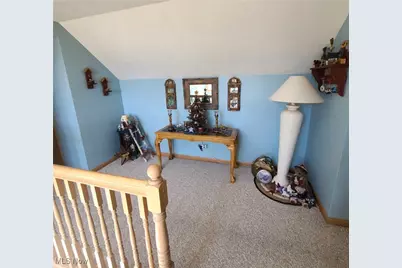 301 William Street, Yorkville, OH 43971 - Photo 29