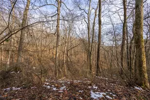 169 Kinderhook Rdg Rd, Newport, OH 45768 - Photo 15