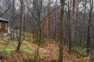 169 Kinderhook Rdg Rd, Newport, OH 45768 - Photo 17