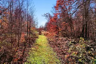 831 Township Rd 462, Nova, OH 44859 - Photo 11