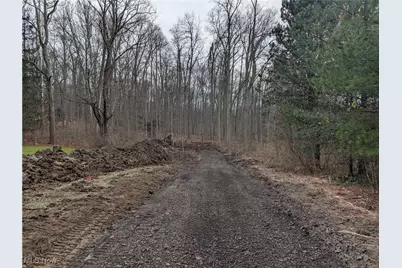Thwing Road, Chardon, OH 44024 - Photo 5