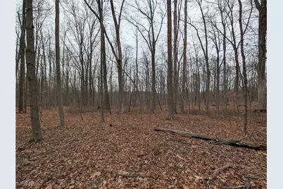 Thwing Road, Chardon, OH 44024 - Photo 17