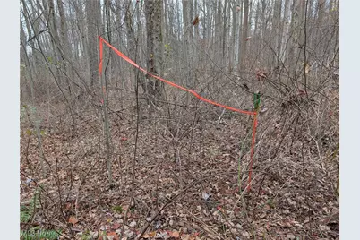 Thwing Road, Chardon, OH 44024 - Photo 15