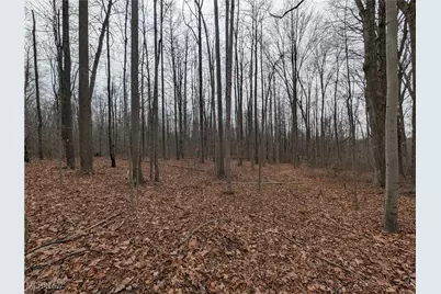 Thwing Road, Chardon, OH 44024 - Photo 13