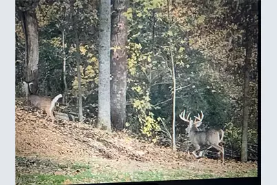 Tbd Tbd, Warsaw, OH 43844 - Photo 13