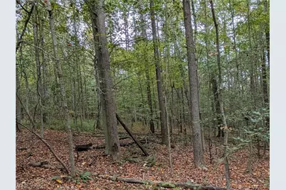 County Road 33 County Road 33, Warsaw, OH 43844 - Photo 3