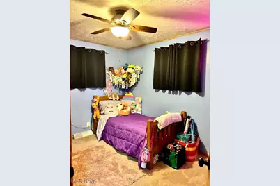 275 Walnut, Washingtonville, OH 44490 - Photo 9