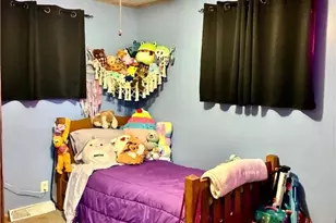 275 Walnut, Washingtonville, OH 44490 - Photo 9