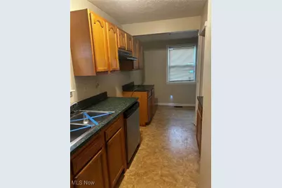 1517 Larchmont Road, Loveland, OH 44110 - Photo 9