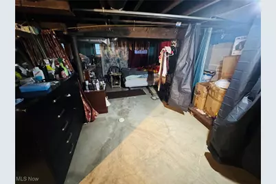 2906 Delmar Avenue, Loveland, OH 44109 - Photo 35