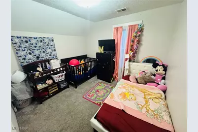 2906 Delmar Avenue, Loveland, OH 44109 - Photo 29