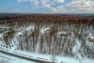 14910 Crimson King Trl, Chardon, OH 44024 - Photo 39